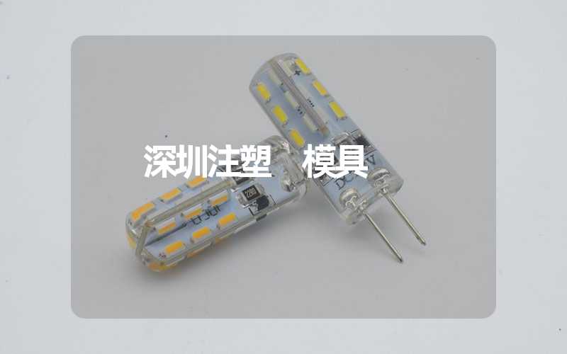 深圳注塑 模具 